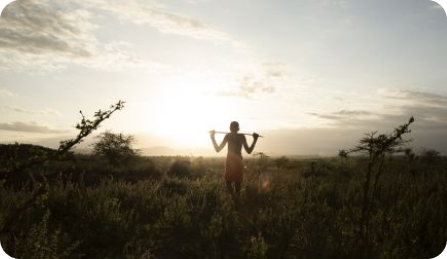 A boy walking through a field.