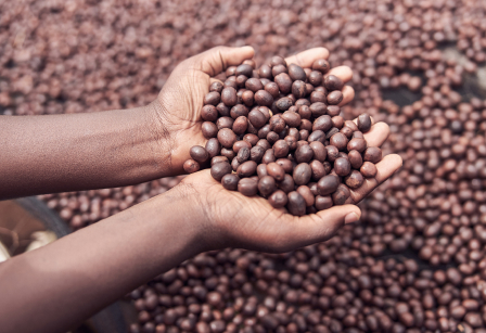 A man holding beans.